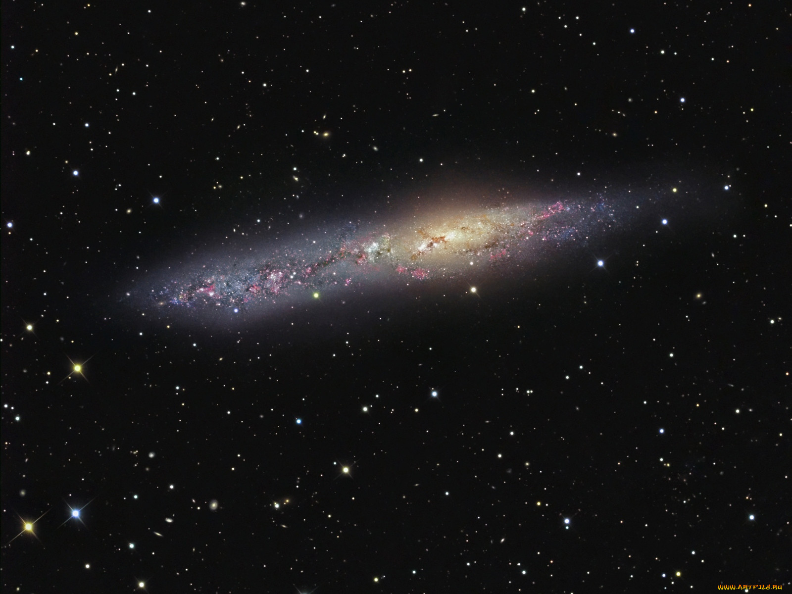 ngc, 55, , , 